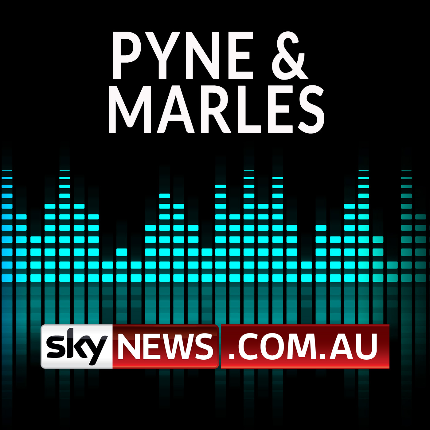 Sky News - Pyne & Marles